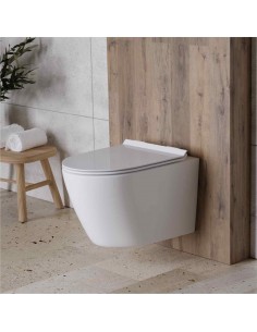 Misa Sedesowa Rimless Z Deską Wolnoopadającą Wypinaną 2